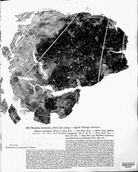 Serpula lacrymans image